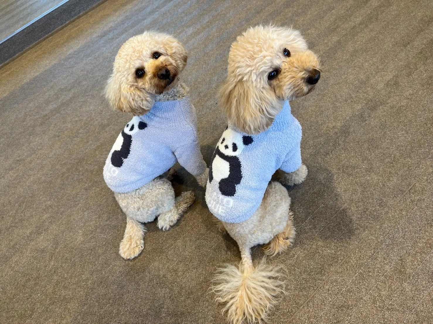 【社長ブログ】余暇